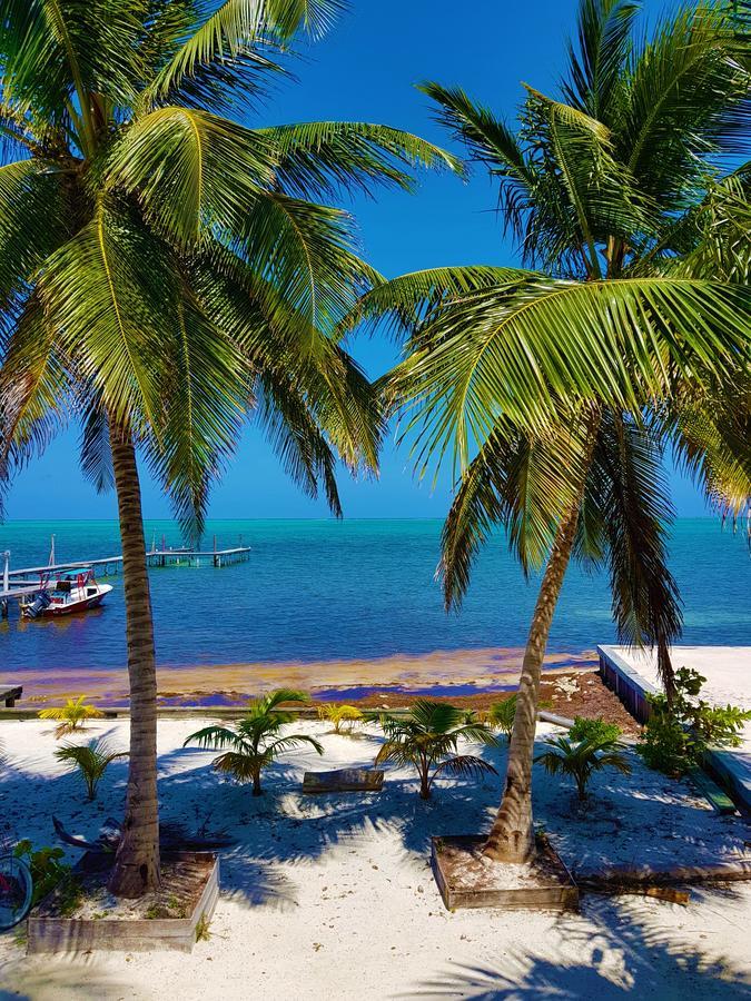 Carolyn'S House Villa Caye Caulker Exteriör bild
