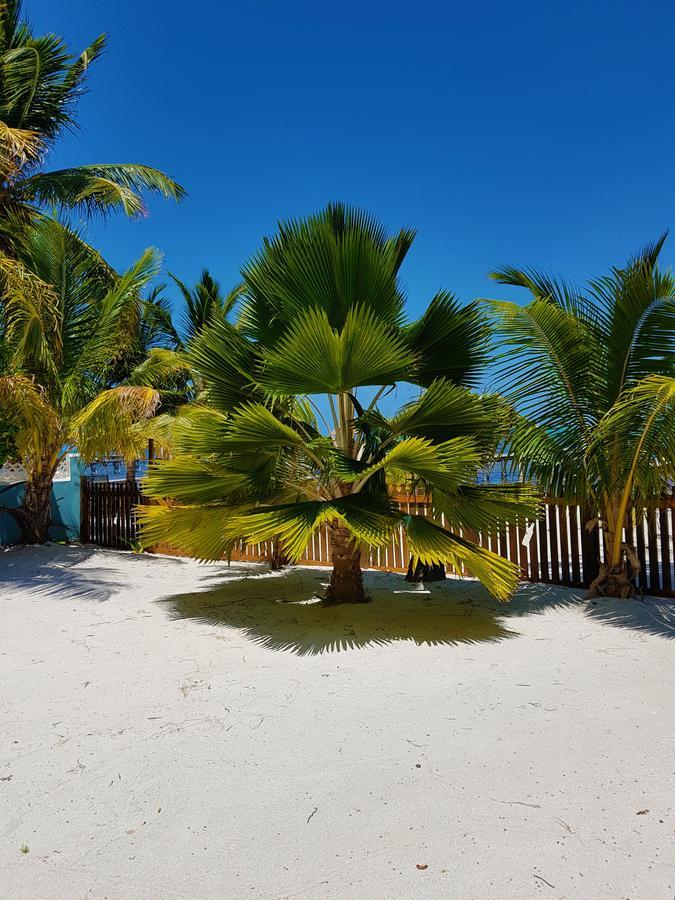 Carolyn'S House Villa Caye Caulker Exteriör bild